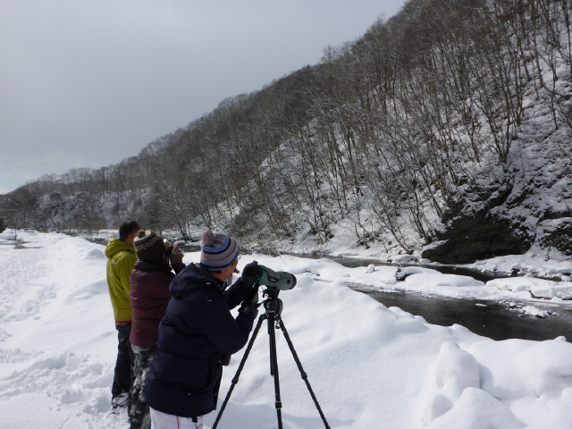 Take in the Nature of Toyoura ♪ Geopark Guide