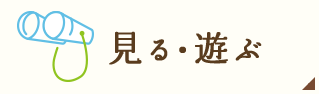 見る・遊ぶ
