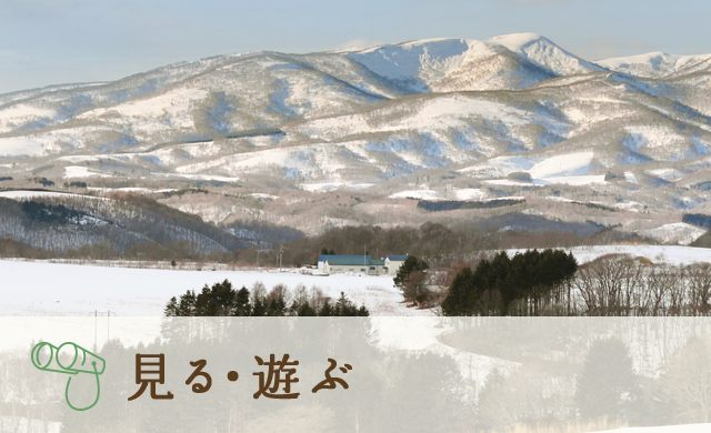 見る・遊ぶ